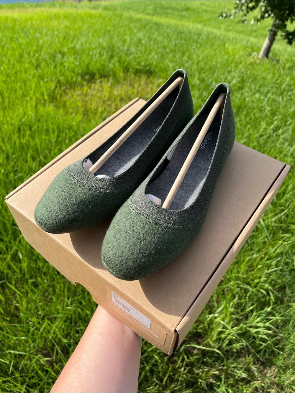 New in Box allbirds Wool Breezer Womens Dark Green Ballet Flats Size 9.5